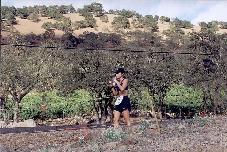 Corinne waits on the hill for Ted